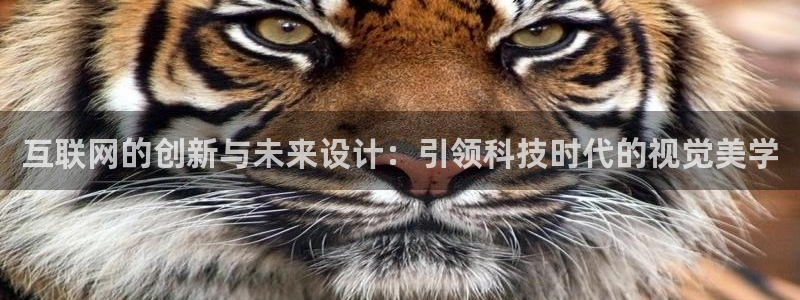 先锋娱乐资讯