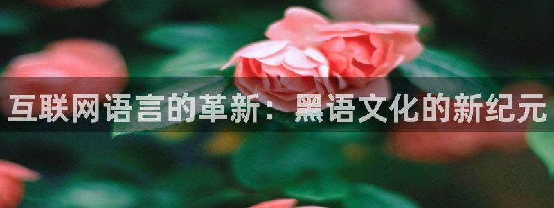 威斯汀娱乐先锋