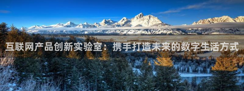 先锋互动娱乐