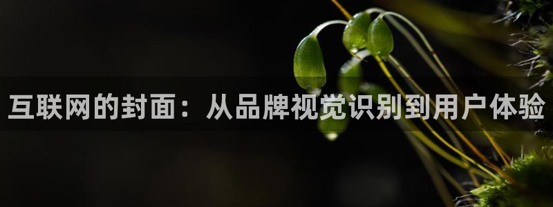 先锋娱乐提现多久到账