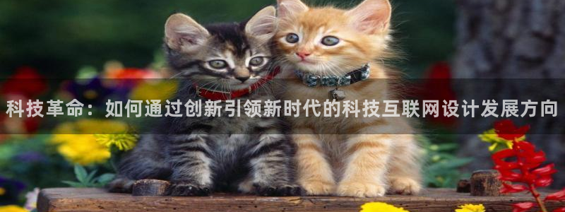 先锋娱乐大厅牛牛