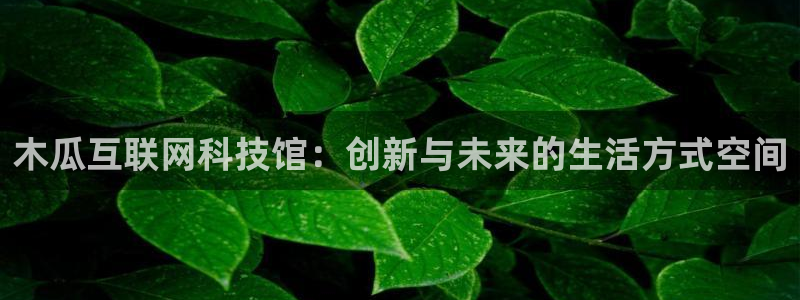 先锋娱乐官方