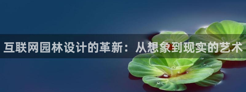 先锋娱乐软件