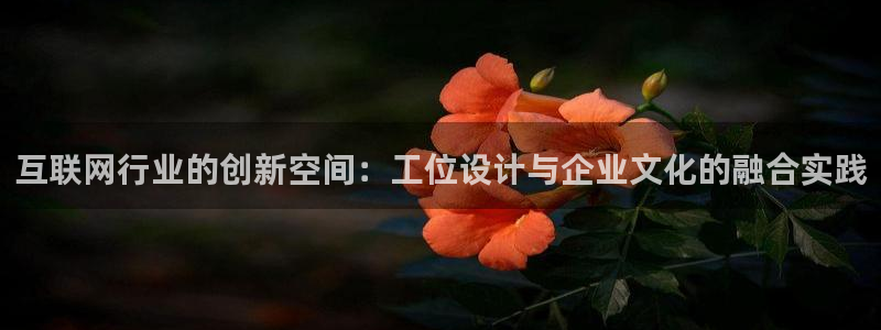 先锋娱乐理财
