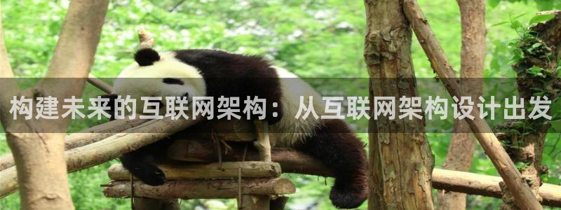 亚洲先锋娱乐跌：构建未来的互联