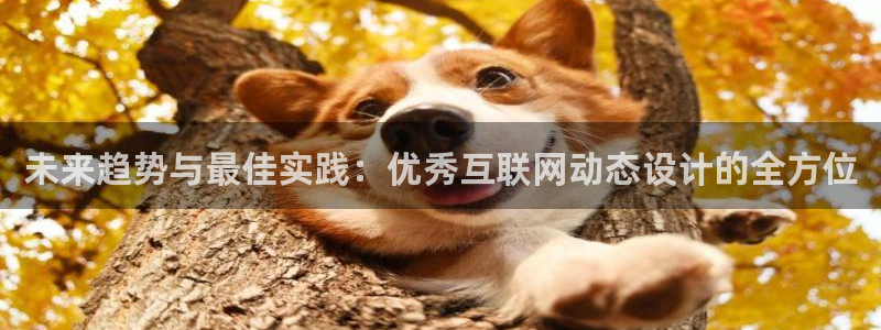 先锋娱乐入口：未来趋势与最佳实