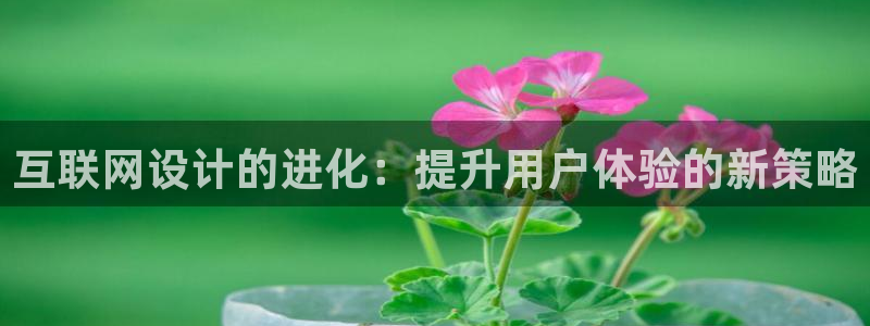 先锋娱乐体育
