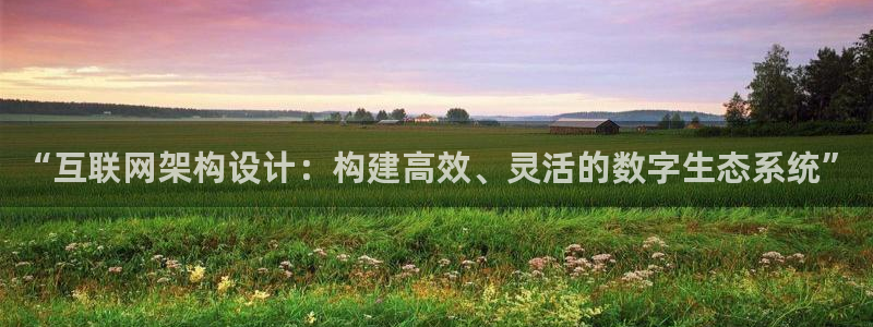 先锋娱乐炸金花：“互联网架构设