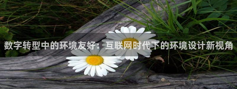 先锋游戏娱乐