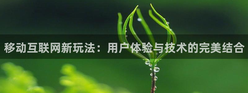 威斯汀娱乐先锋