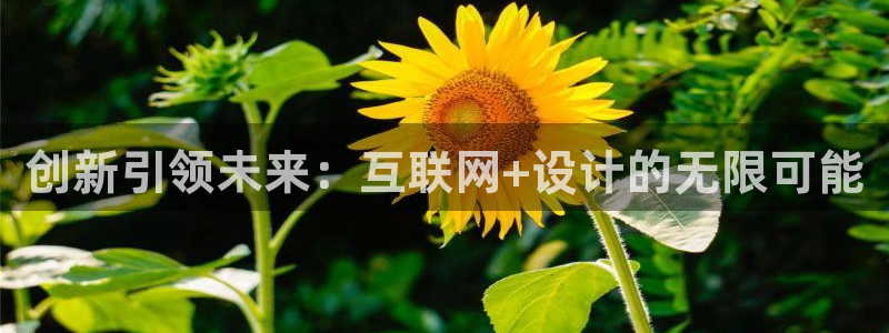 先锋娱乐公司