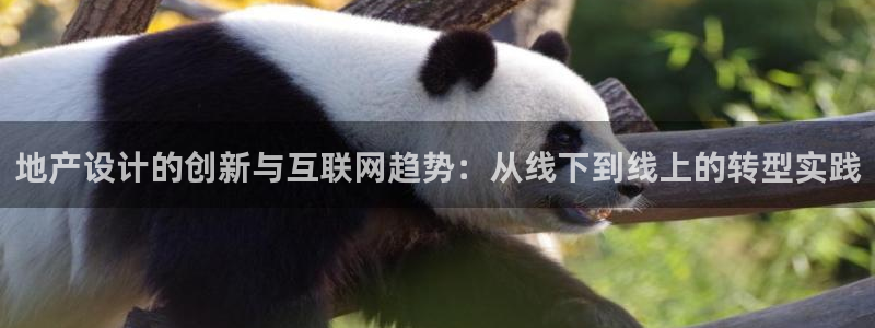 先锋娱乐币
