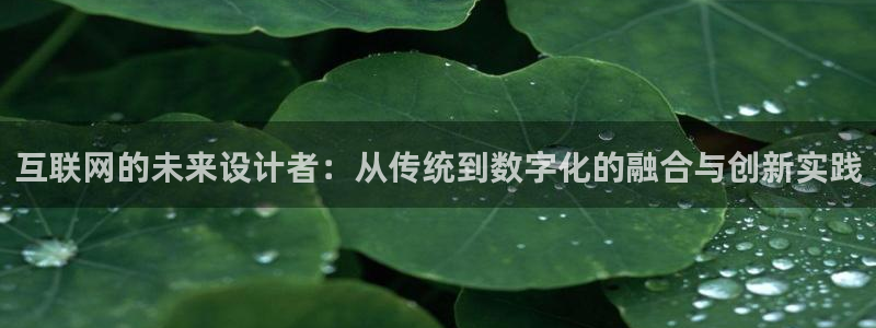 先锋互动娱乐