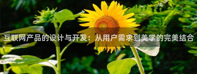 先锋娱乐俱乐部