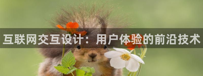 贵州先锋娱乐
