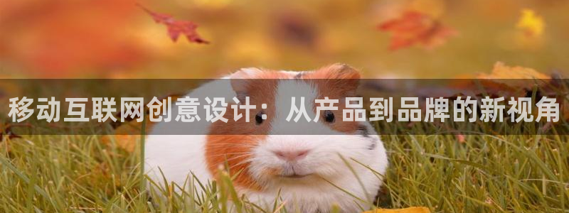 先锋娱乐电子游戏