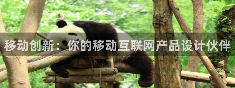 先锋娱乐公司正规吗吗